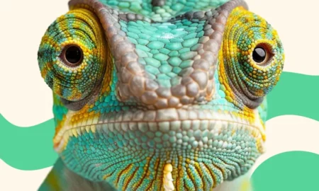 AniMobile: aplicativo somente com curiosidades sobre animais