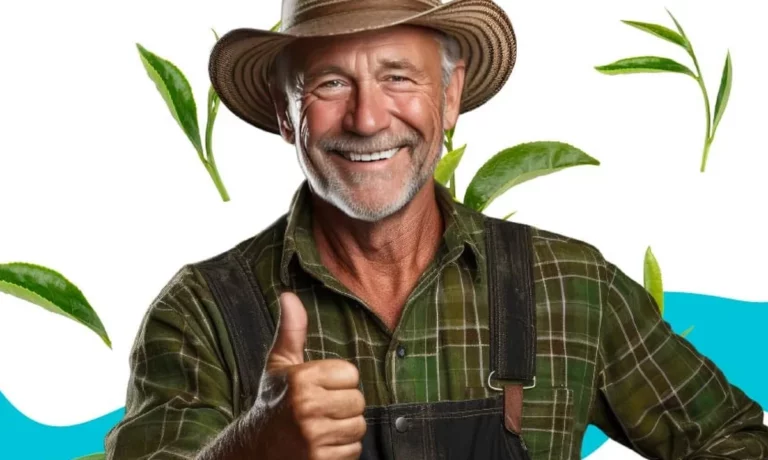 aplicativo buscar rural compre e venda produtos do agroneg cio 6f2868d0