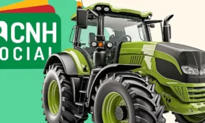 cnh social pe saiba tudo sobre o programa cnh rural de pernambuco 7e788112