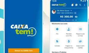 como calcular o pis simule seu valor do abono agora mesmo 7bb46e68