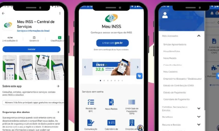 como consultar o d cimo terceiro sal rio do inss pelo cpf online f9a07d76