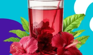 flor de hibisco 3 benef cios como usar e contraindica es 3b0ad09e