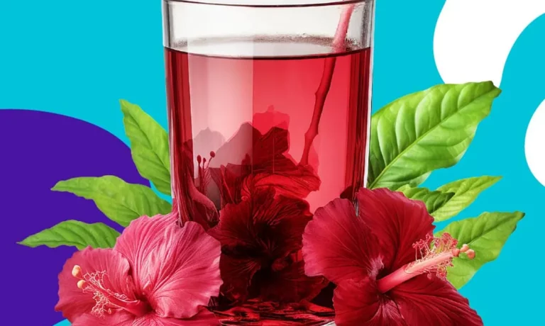 flor de hibisco 3 benef cios como usar e contraindica es 3b0ad09e