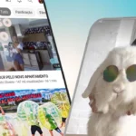 Novo YouTube: conheça as novidades para os usuários da plataforma