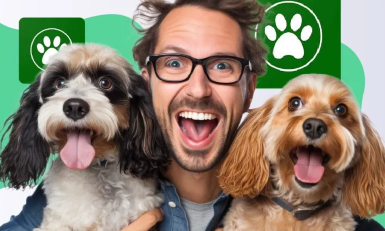 10 motivos para adotar um animal com ajuda de aplicativos 2501a2fc