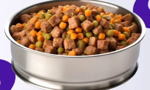 alimenta o natural para c es 9 passos saud veis a9fa1854