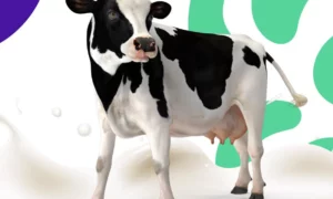 aplicativo leite fa a uma avalia o da sua fazenda leiteira 2fd0cc89