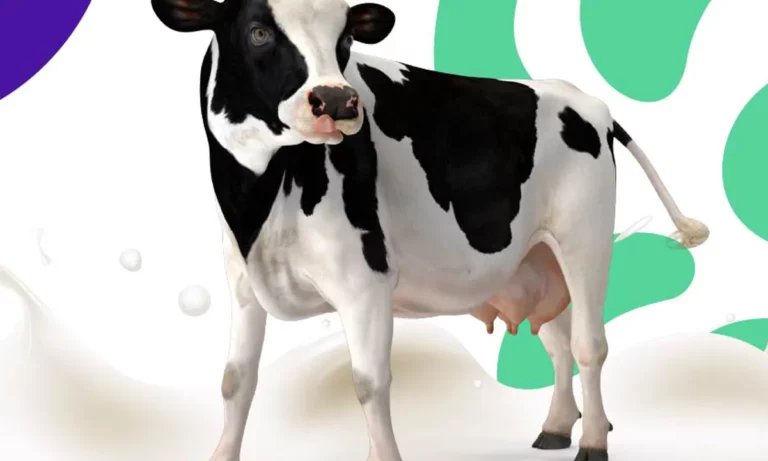 aplicativo leite fa a uma avalia o da sua fazenda leiteira 2fd0cc89