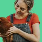 Aplicativo Assistente de Avicultura: conheça e aprenda usar
