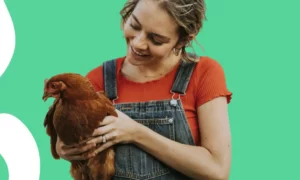 Aplicativo Assistente de Avicultura: conheça e aprenda usar