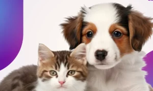aplicativo de carteira de vacina o pet para cachorros e gatos 9fcc832f