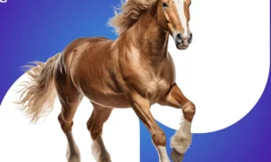 aplicativo para descobrir a ra a detalhada de qualquer cavalo com uma foto 110c8035