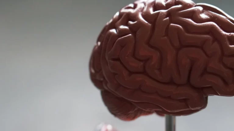 como bloquear imagens estrobosc picas se voc tem epilepsia 0db82fd1