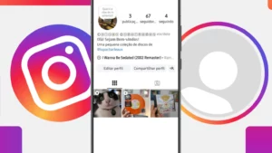 como colocar m sica na biografia do instagram f4b41353