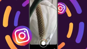 como dar zoom nos stories do instagram 42f64250