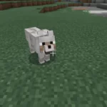 Como domesticar um lobo no Minecraft