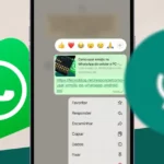 Como encaminhar uma mensagem no WhatsApp pelo celular ou PC