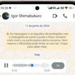 Como ouvir áudios no WhatsApp pelo celular ou PC