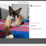 Como publicar fotos ou vídeos no Feed do Instagram pelo PC