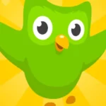 Como usar o Duolingo [Guia para Iniciantes]
