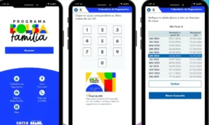 consultar calend rio do bolsa fam lia fa a tudo pelo celular 238ca94c