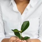 Curso grátis de Política e Gestão Ambiental: como fazer seu cadastro