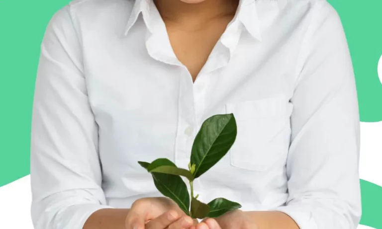 curso gr tis de pol tica e gest o ambiental como fazer seu cadastro 38efbcff