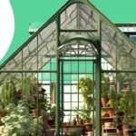 Jardim de inverno na sala: como fazer, como cuidar e 10 inspirações