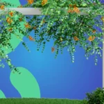 Jardim suspenso: como fazer, ideias e dicas de cuidado