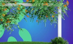 Jardim suspenso: como fazer, ideias e dicas de cuidado