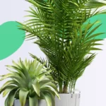 Plantas ornamentais para jardim: 5 opções que valem a pena