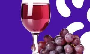 suco de uva bord descubra 10 benef cios da bebida 004dcf69