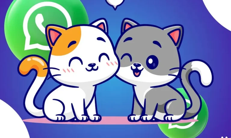 aplicativo com figurinhas de gatinhos para whatsapp a841a4d8