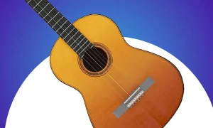 aplicativo com mais de 30 ritmos de viol o e ukelele para baixar no celular 988aeaba