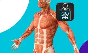 aplicativo de radiologia para estudar o corpo humano pelo celular 69b9f5c8