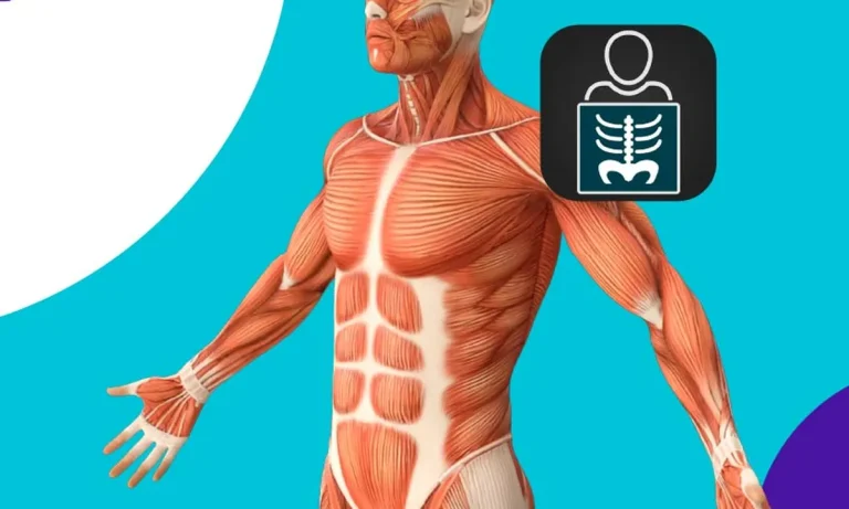aplicativo de radiologia para estudar o corpo humano pelo celular 69b9f5c8