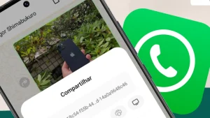 como compartilhar mensagens entre whatsapp e telegram 6da4e2b2