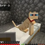 Como domesticar um gato no Minecraft