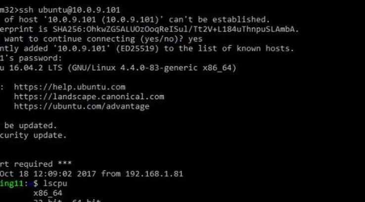 como instalar o cliente nativo de ssh do windows 10 a23f8977