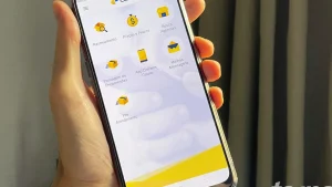 como pagar a taxa dis no site dos correios para encomendas internacionais deed3b16
