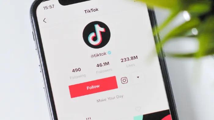 como usar o tiktok guia para iniciantes cc0738bf
