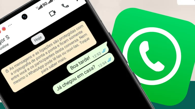 confirma o de leitura o que significam os tra os azul e cinza no whatsapp e172fa7a