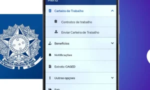 descubra como ver o n mero da carteira de trabalho digital 2023 72776e95