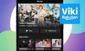 quais s o os novos doramas no cat logo do viki 258eb59f