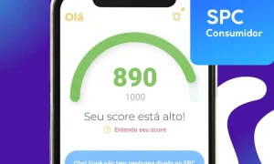 spc consumidor aplicativo para consultar cpf gr tis imediatamente 0bd8d429