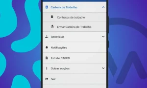 veja o n mero de s rie da carteira de trabalho digital 2023 f0c4885b