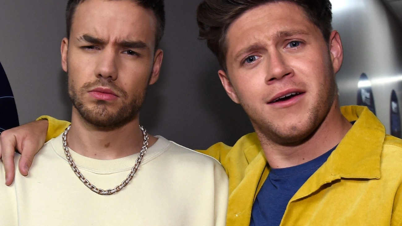 Niall Horan Recalls Last Happy Memory with Liam Payne