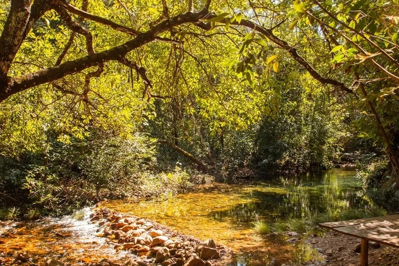 Unlock 3+ Free Hours of Nudist Area Fun Daily at Cachoeira Today