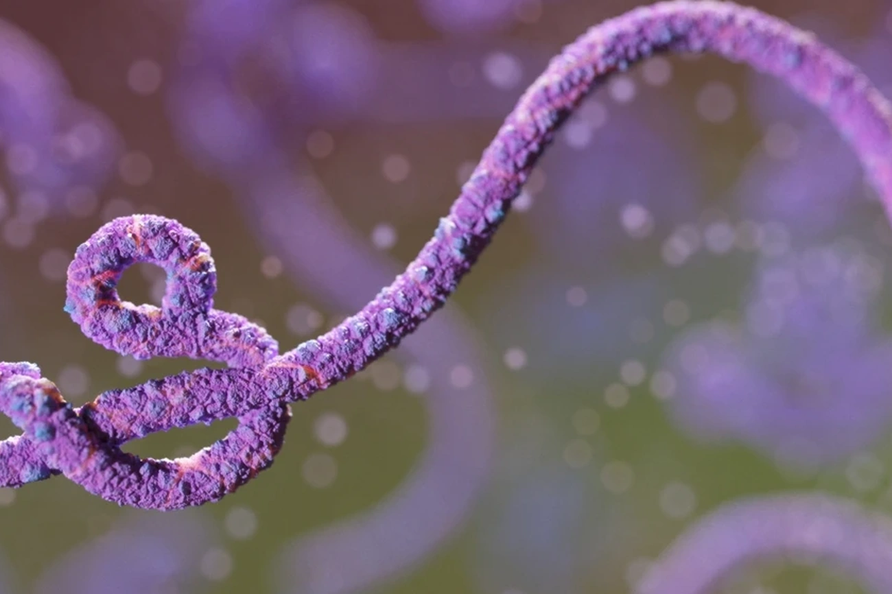 Malaria Diagnosis Confirms Negative Ebola Test Results in Rio Patient